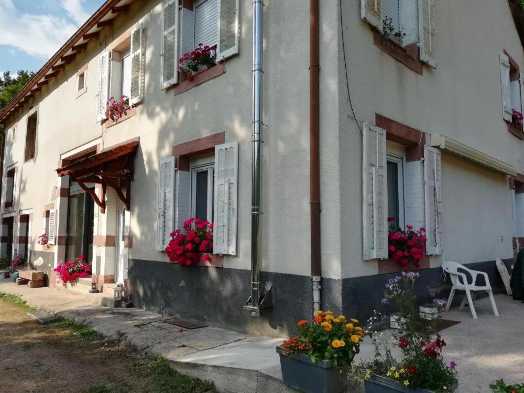 Апартаменти Le Logis Aux Digitales La Croix-aux-Mines Екстер'єр фото