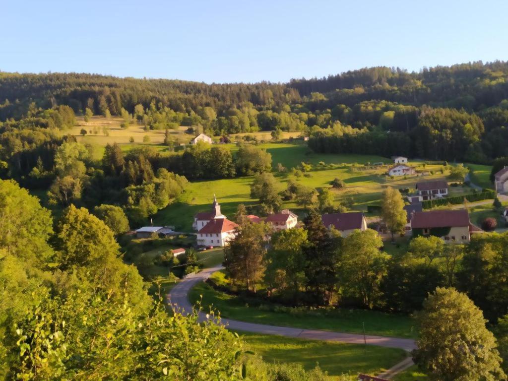 Апартаменти Le Logis Aux Digitales La Croix-aux-Mines Екстер'єр фото